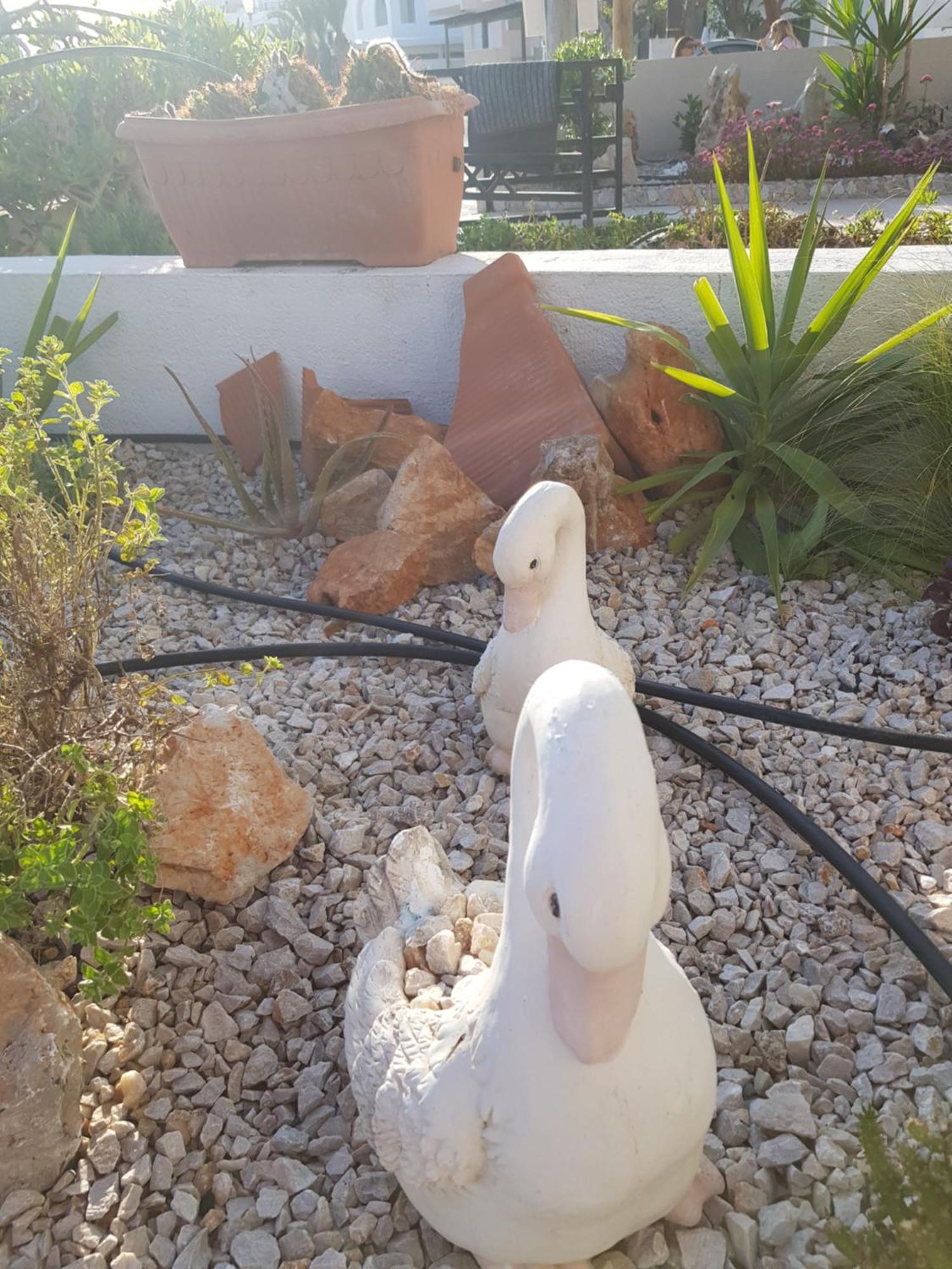 Haraki Mare Studios Beach Front Charaki Exterior foto